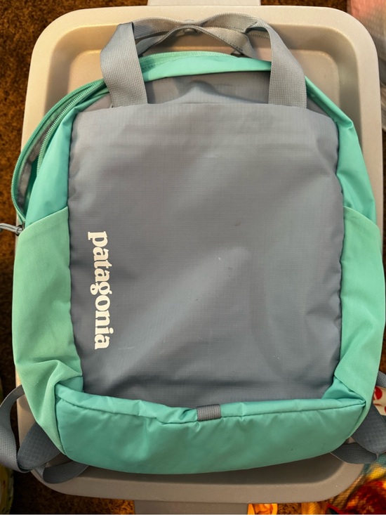 Patagonia Handbags - Patagonia Gray and Mint Green Everyday Backpack
